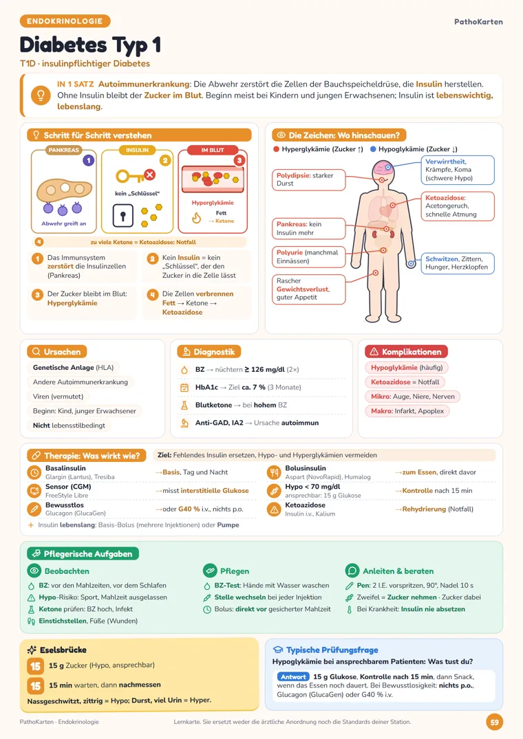 Karte Diabetes mellitus Typ 1